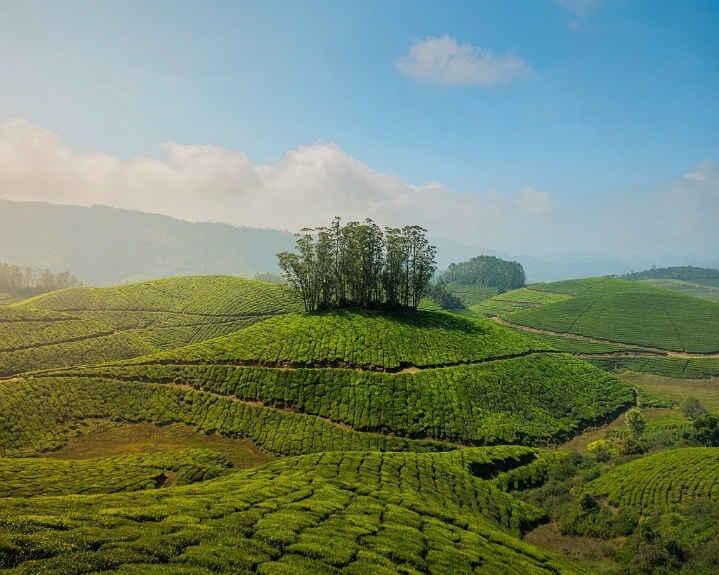 Kerala and South India Tour Packages