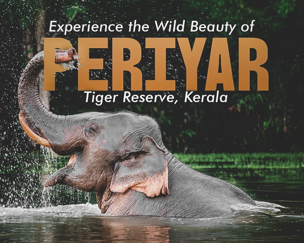 Kerala Wildlife Tour Package
